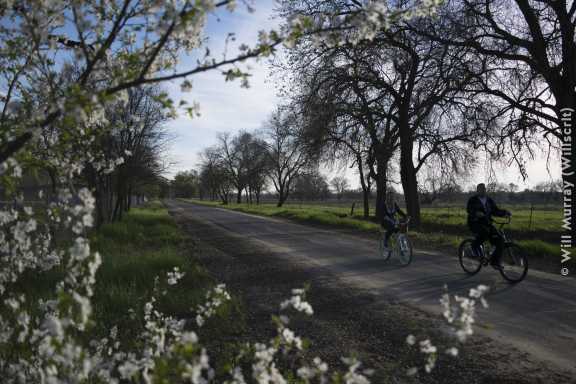 Bike Riders at Central Park Rio Linda - DSC2764