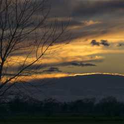 Landscapes