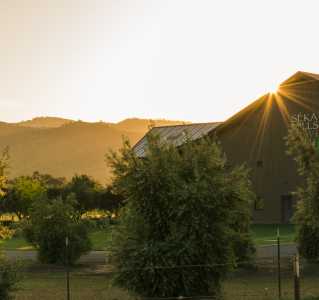 Seka Hills Olive Mill and Tasting Room at Sunset - DSC4462