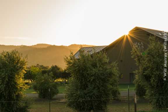 Seka Hills Olive Mill and Tasting Room at Sunset - DSC4462