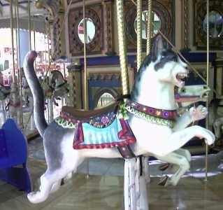 200602010021_00003 Roseville Galleria Carousel Cat