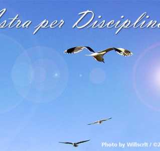 Ad Astra per Disciplina et Scientia with Gulls