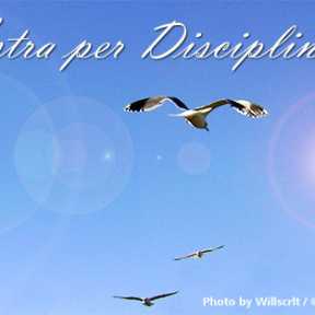 Ad Astra per Disciplina et Scientia with Gulls