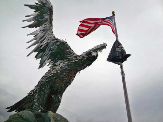 Eagle with Flags