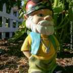 Garden Gnome