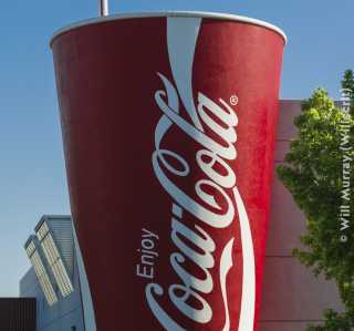Giant Coke Cup with Straw - DSC4536