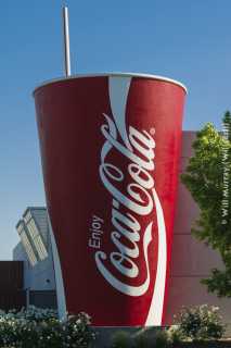 Giant Coke Cup with Straw - DSC4536