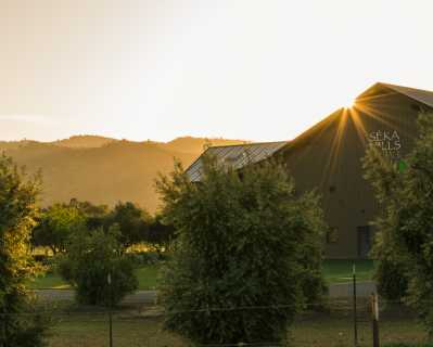 Seka Hills Olive Mill and Tasting Room at Sunset - DSC4462