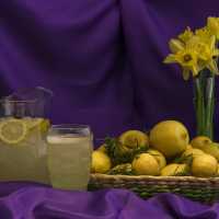 Still Life Lemonade Lemons Rosemary and Daffodils - DSC4321