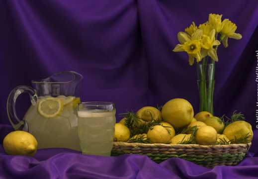 Still Life Lemonade Lemons Rosemary and Daffodils - DSC4321