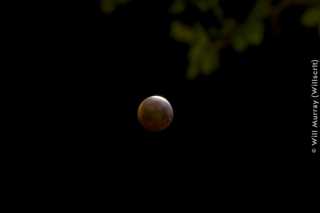 Total_Lunar_Eclipse_on_4_April_2015_-_DSC4173.jpg