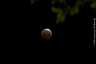 Total Lunar Eclipse on 4 April 2015 - DSC4173
