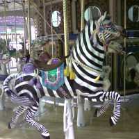200602010019_00001 Roseville Galleria Carousel Zebra