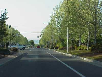 Driving through Napa (MVC-128F)