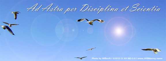 Ad Astra per Disciplina et Scientia with Gulls