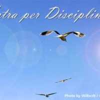 Ad Astra per Disciplina et Scientia with Gulls