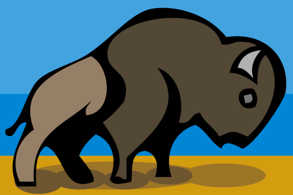 American Bison