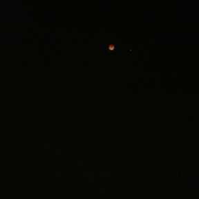 April 2014 Lunar Eclipse (1/2)