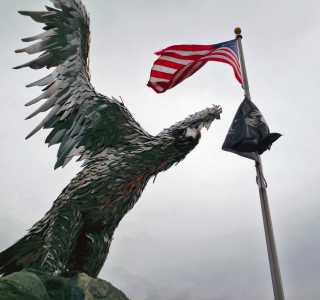 Eagle with Flags