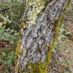 IMG 20200118 134951