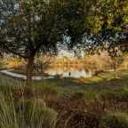 IMG 20201226 161636741
